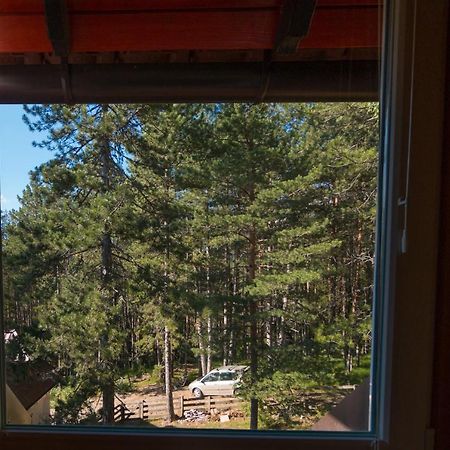 Zavicaj Apartmani3 Zaovine エクステリア 写真