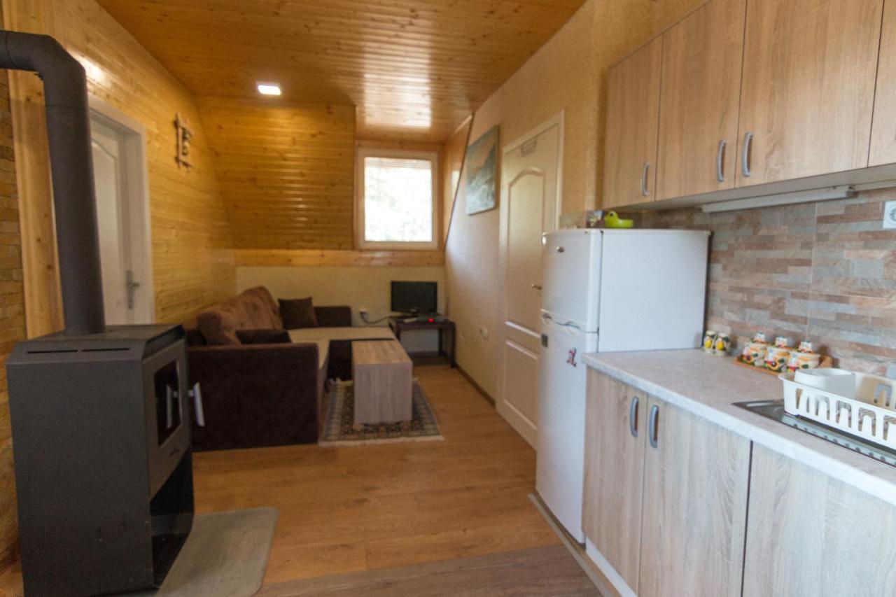 Zavicaj Apartmani3 Zaovine エクステリア 写真