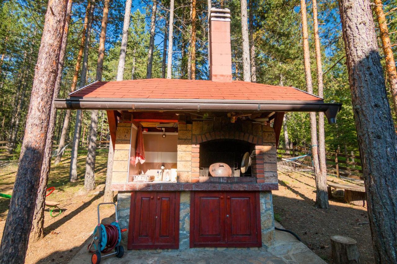Zavicaj Apartmani3 Zaovine エクステリア 写真